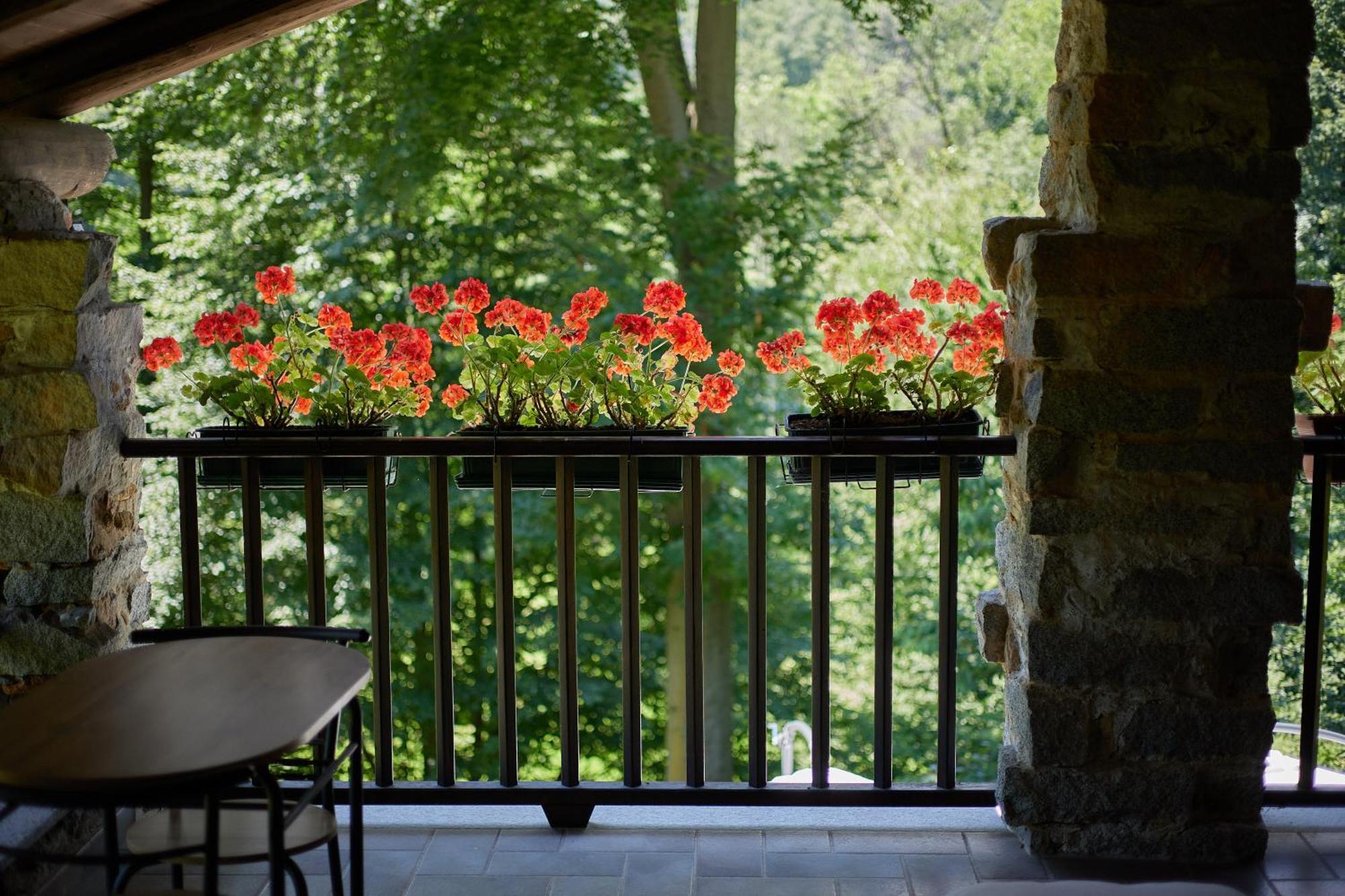 Villetta Con Giardino ⭑⭑⭑⭑⭑ - Wifi, Dogs Allowed Biella Extérieur photo